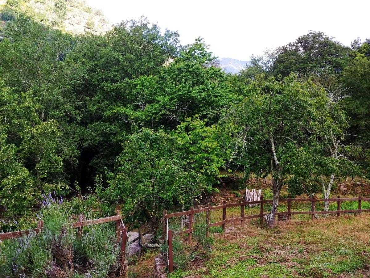 Agricamping Ponteraggio N.1 Hotel Долчеакуа Екстериор снимка