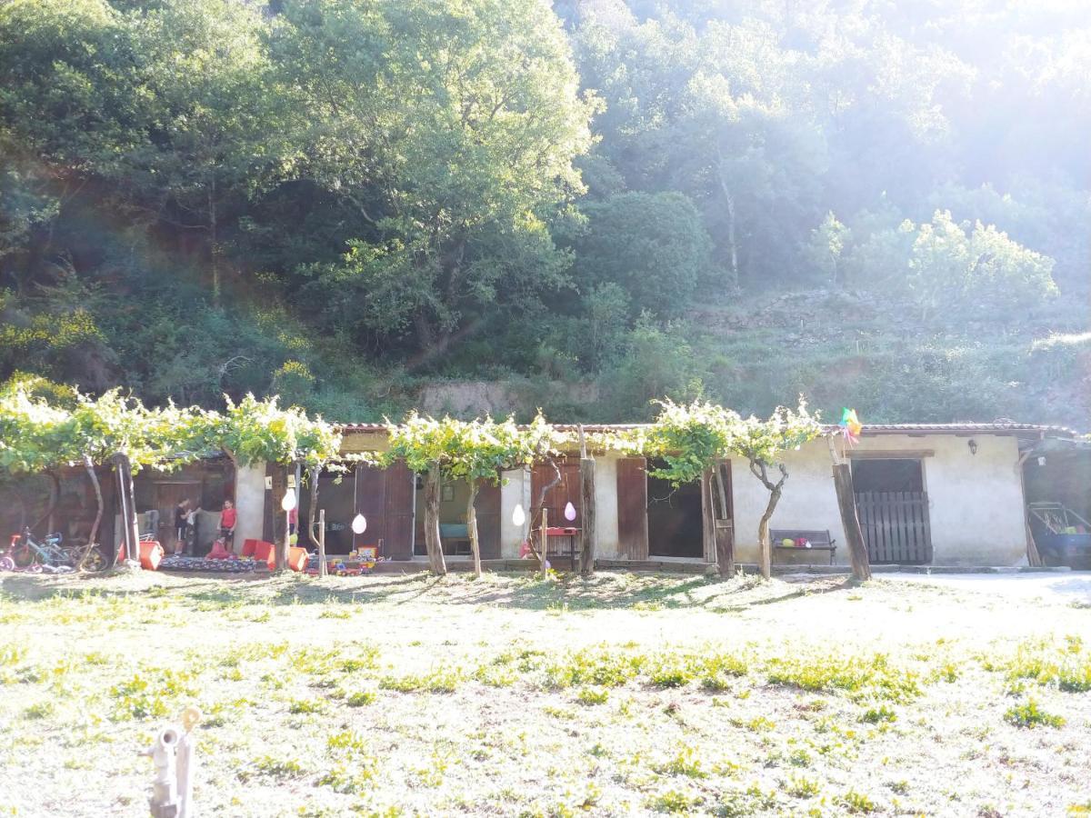 Agricamping Ponteraggio N.1 Hotel Долчеакуа Екстериор снимка