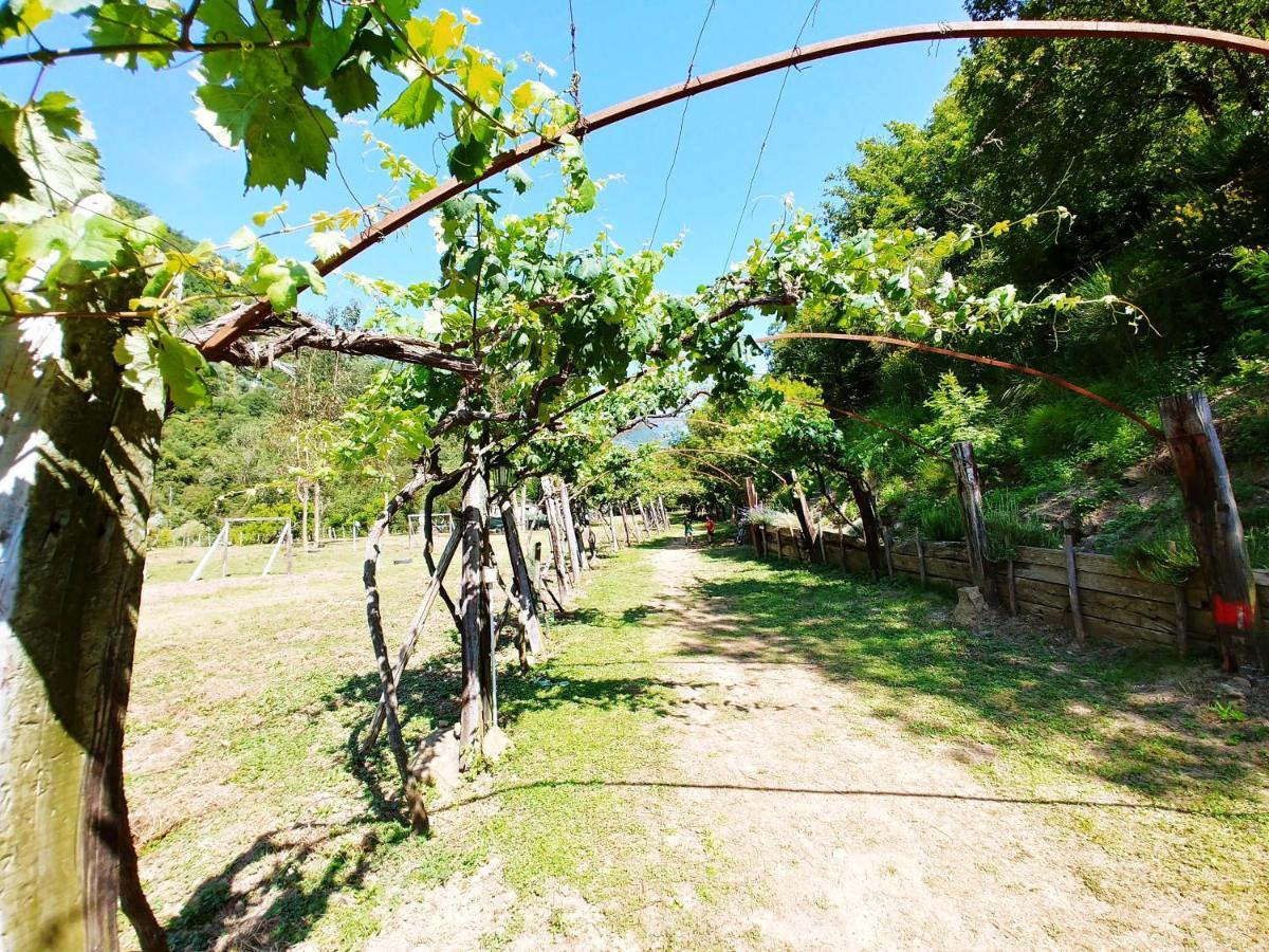 Agricamping Ponteraggio N.1 Hotel Долчеакуа Екстериор снимка