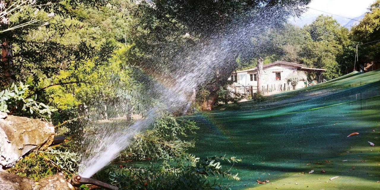 Agricamping Ponteraggio N.1 Hotel Долчеакуа Екстериор снимка