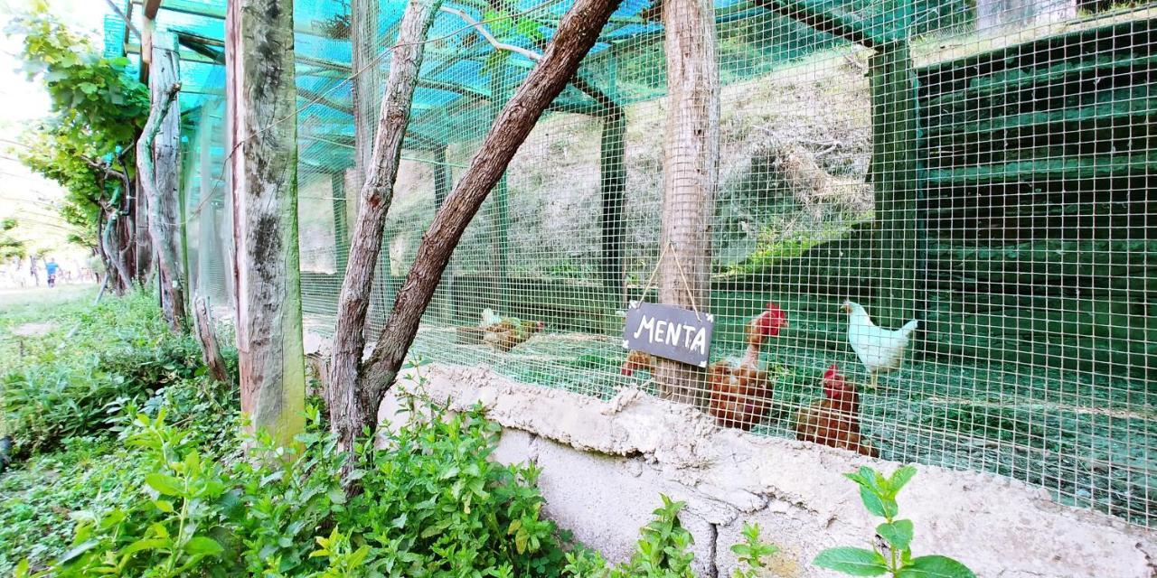 Agricamping Ponteraggio N.1 Hotel Долчеакуа Екстериор снимка