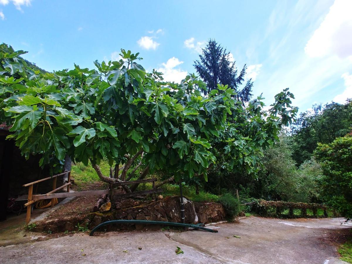 Agricamping Ponteraggio N.1 Hotel Долчеакуа Екстериор снимка