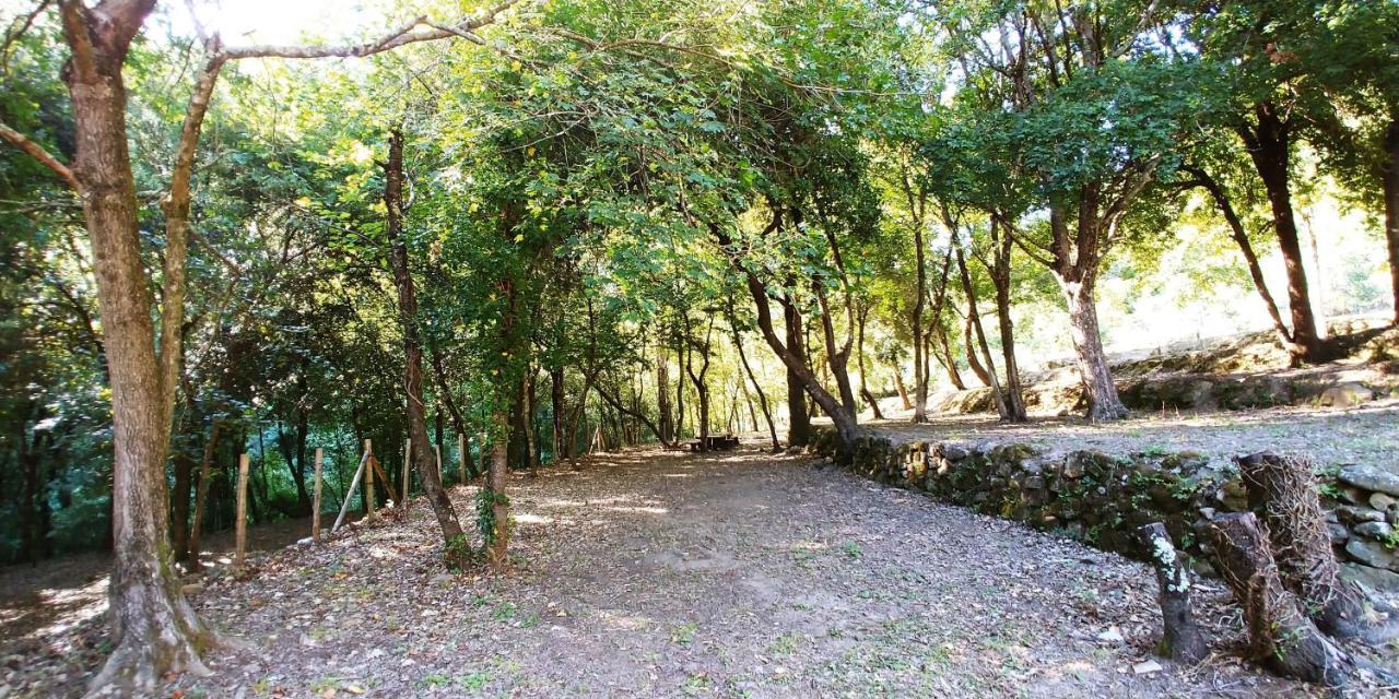 Agricamping Ponteraggio N.1 Hotel Долчеакуа Екстериор снимка