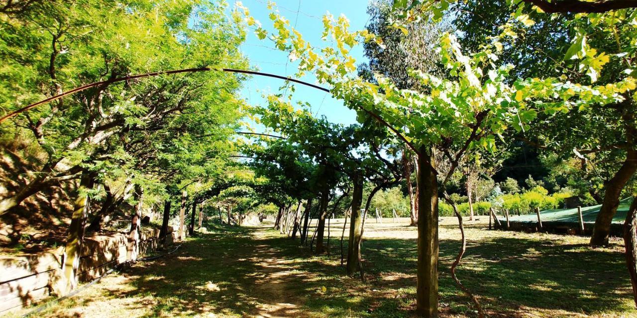 Agricamping Ponteraggio N.1 Hotel Долчеакуа Екстериор снимка